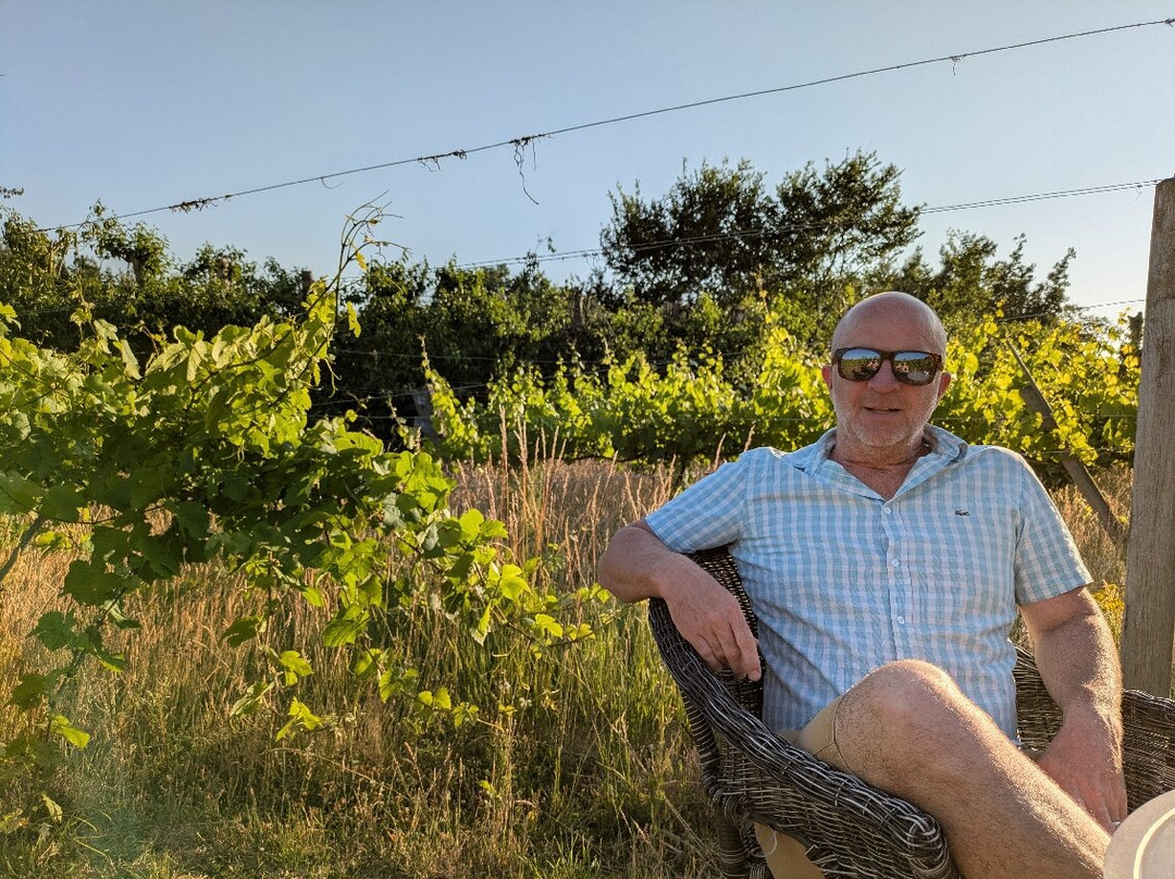 Valley Farm Vineyards-Wissett必去景点
