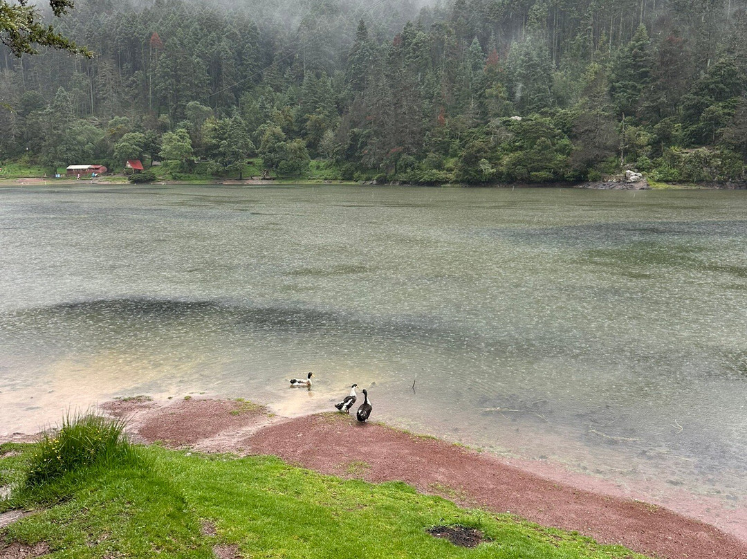 Presa El Cedral-Pluma Hidalgo必去景点