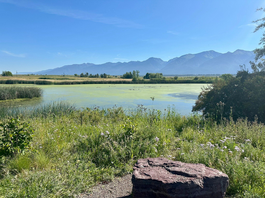 Ninepipes Museum of Early Montana-Charlo必去景点