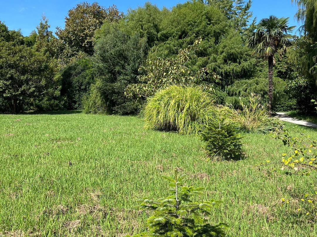 Southern Cultures Park-艾德勒必去景点