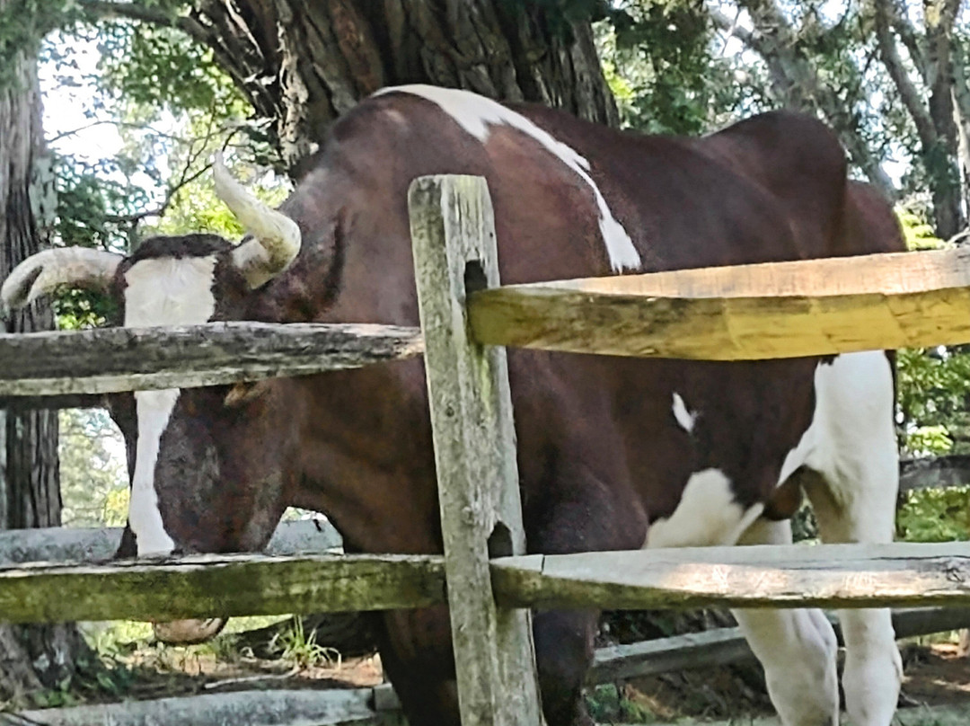Stratford Hall-Stratford必去景点