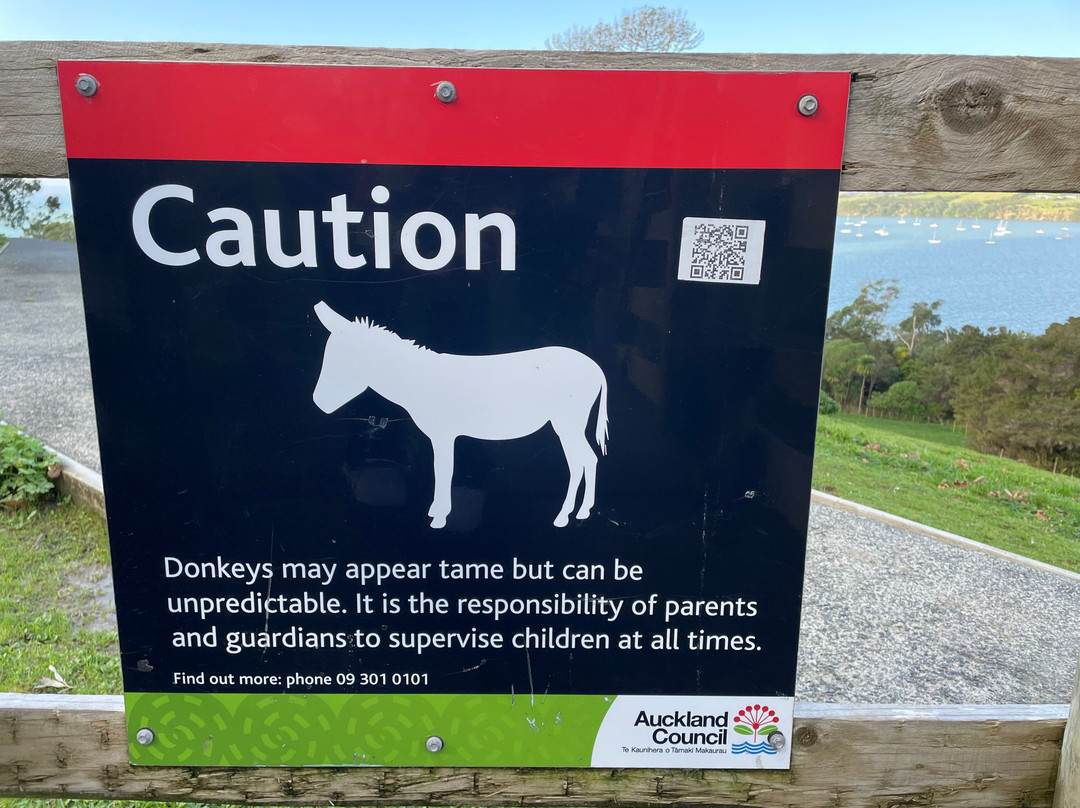 Snells Beach-瓦卡沃夫必去景点