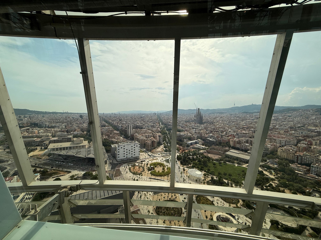 Mirador torre Glòries-巴塞罗那必去景点