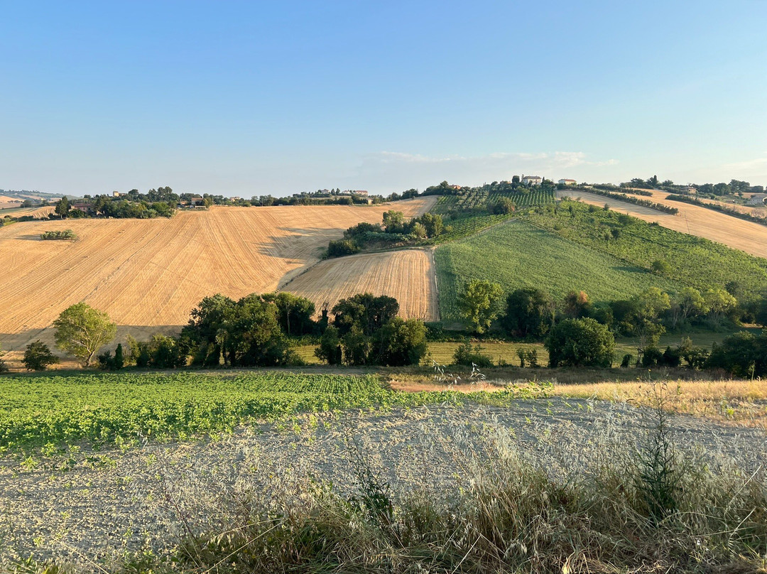 Casale dei Cinque Colli