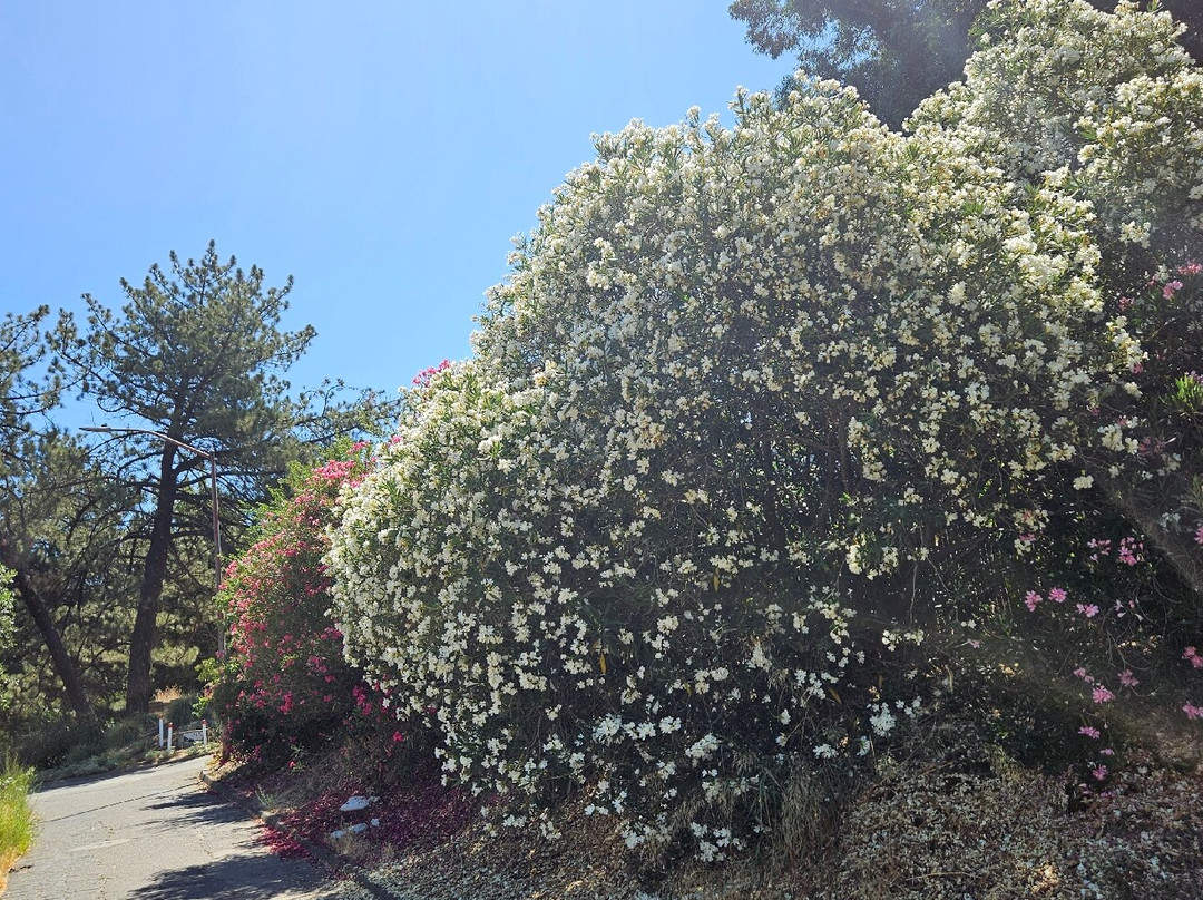 戴维斯大学植物园-戴维斯必去景点