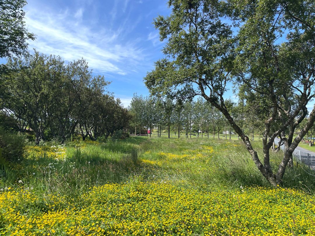 Hljómskálagarður Park-雷克雅未克必去景点