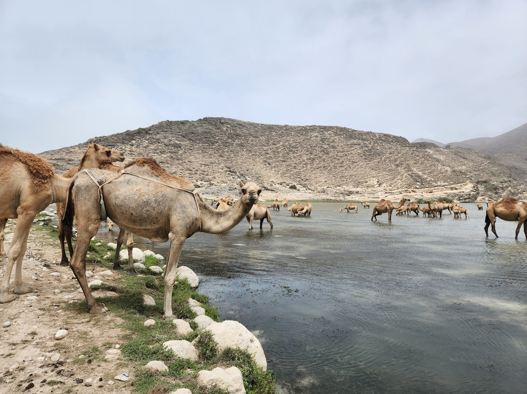 Glory Tours Salalah-塞拉莱必去景点