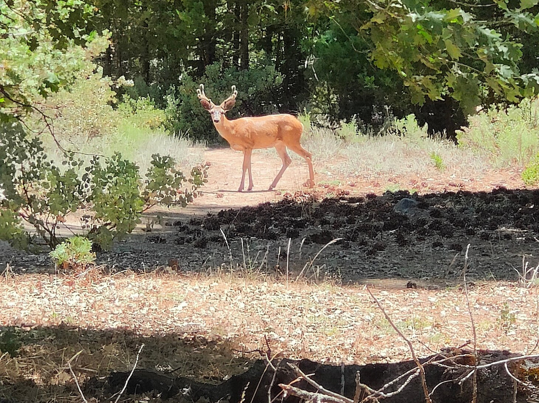 Mountain Trekking Adventures-Three Rivers必去景点