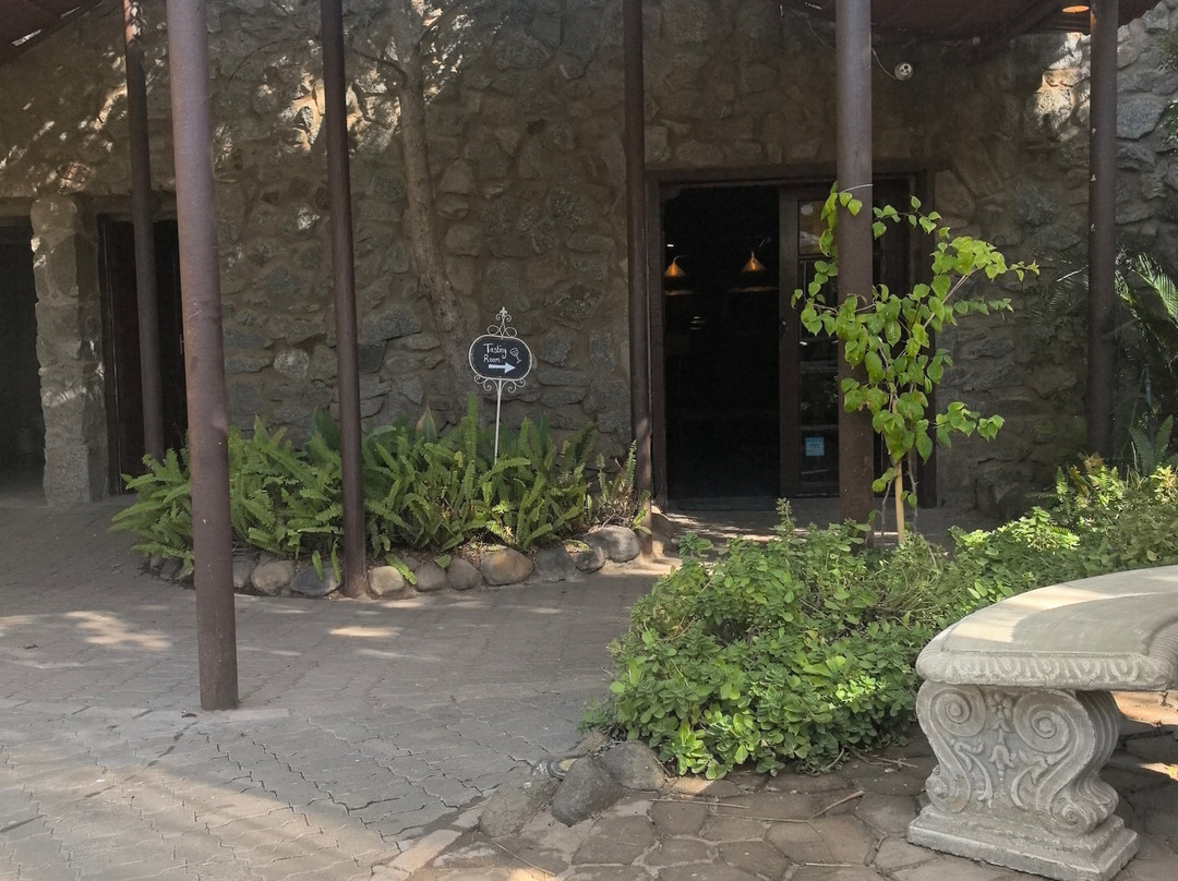 Bezalel Wine & Brandy Estate-阿平顿必去景点