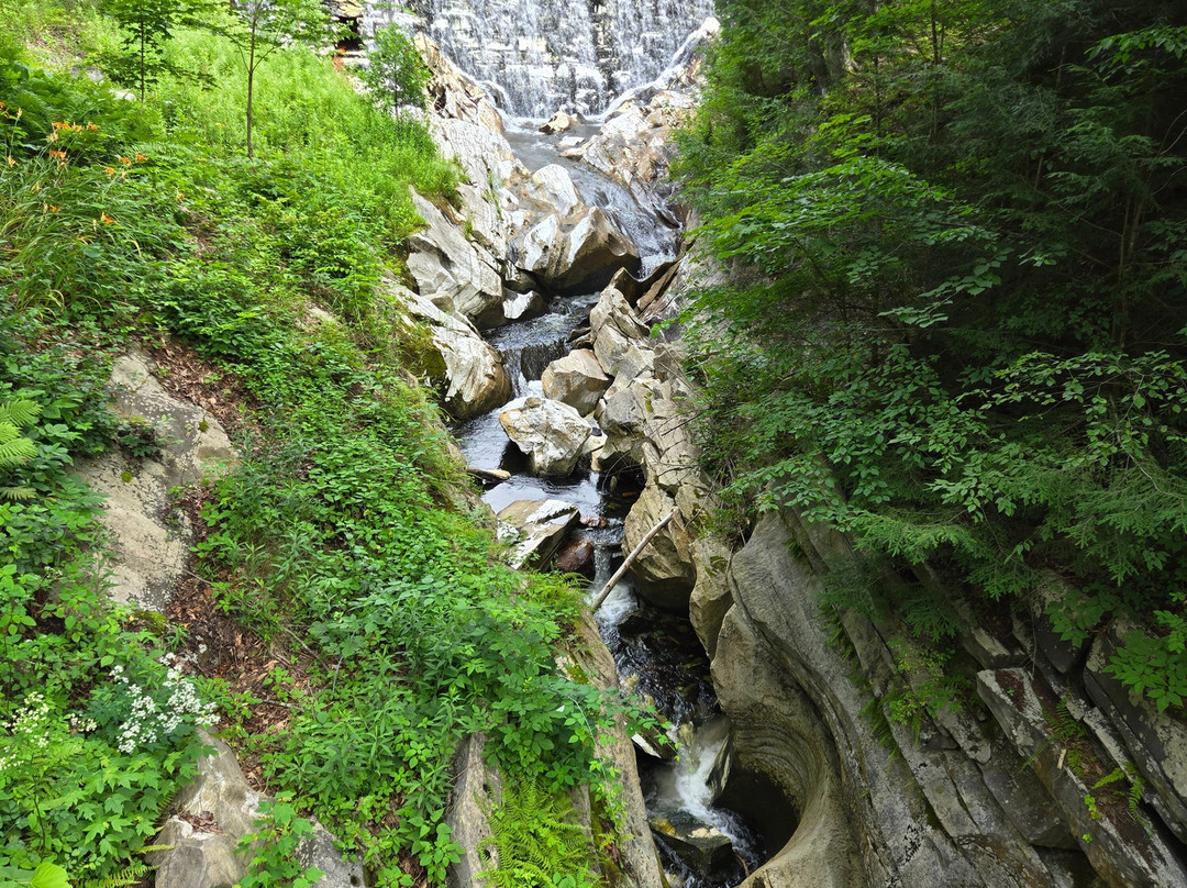 Natural Bridge State Park-North Adams必去景点