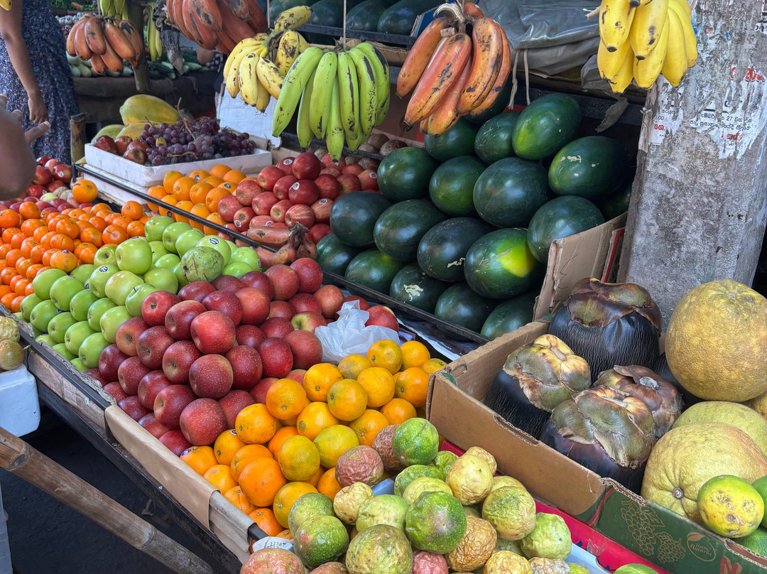 Enviro Bicycle Tours-尼甘布必去景点