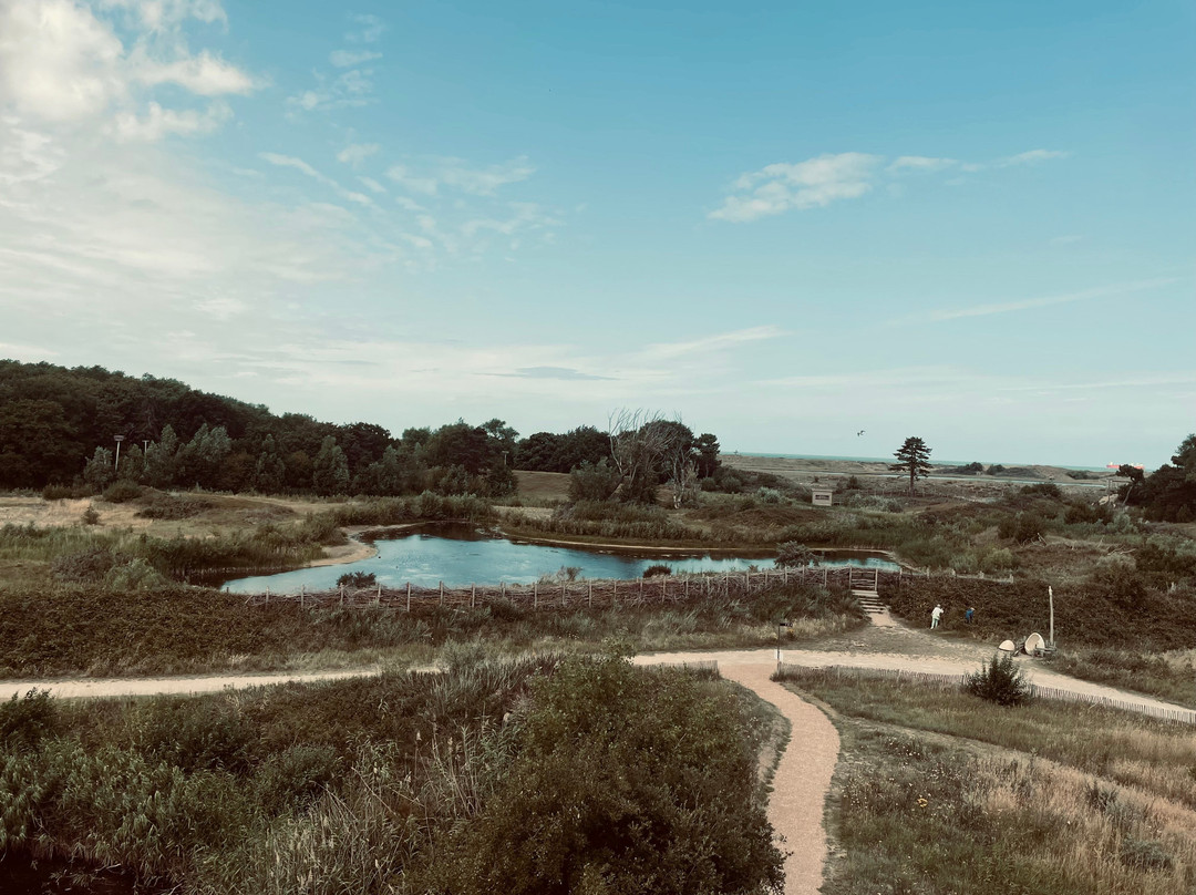 Het Zwin Natuur Park-克诺克－海斯特必去景点