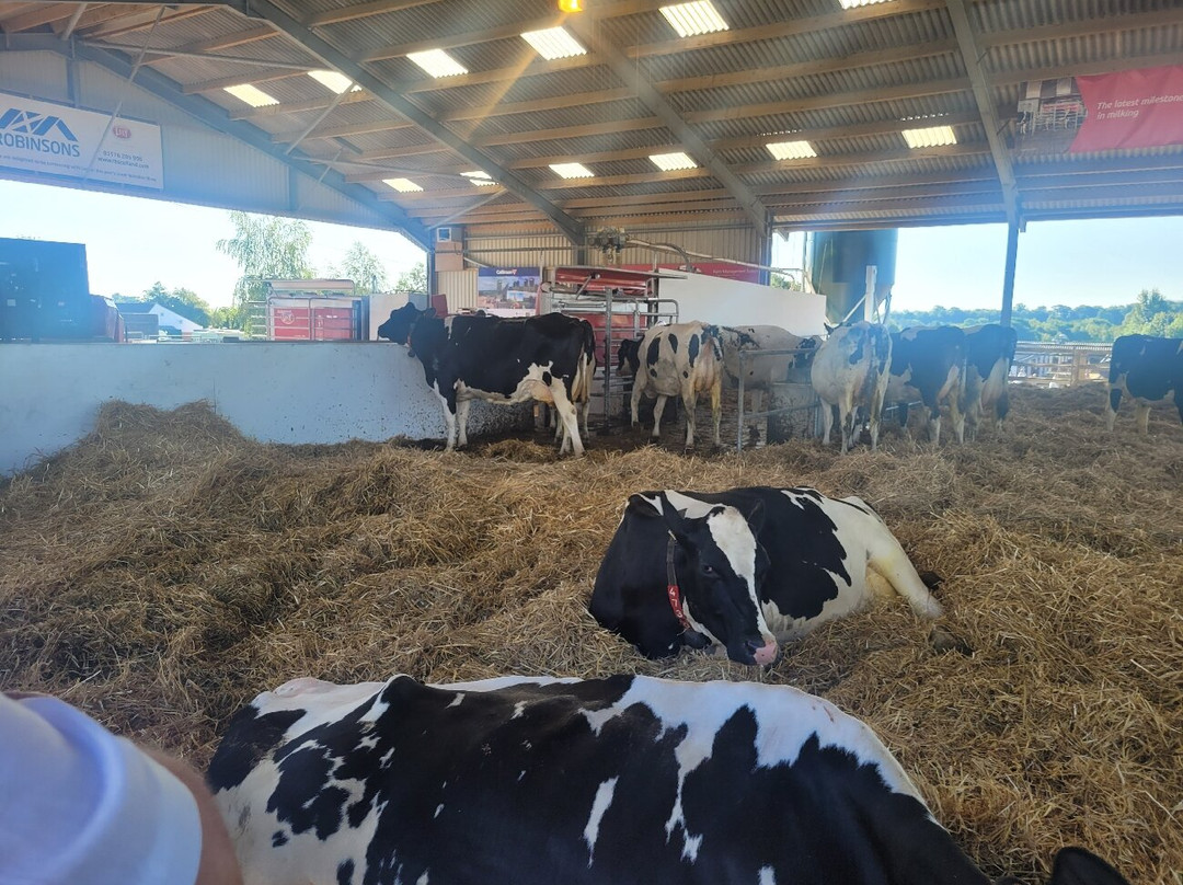 Great Yorkshire Show-哈罗盖特必去景点