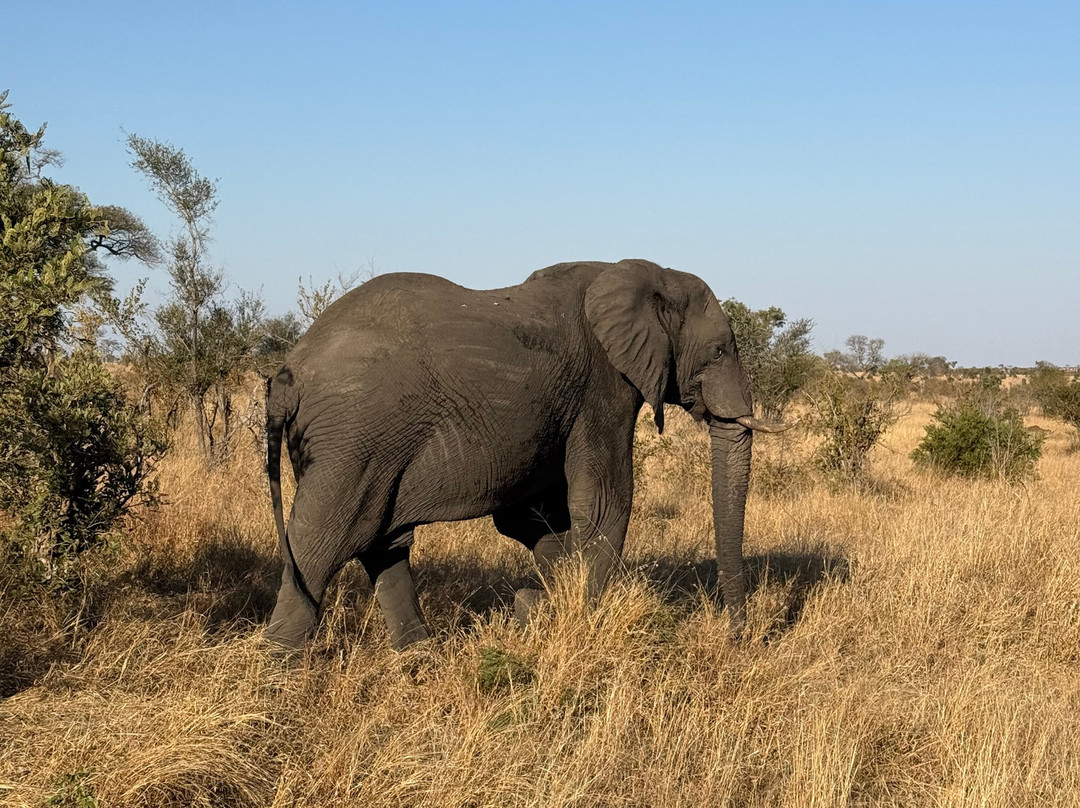 Paw Safaris-霍德斯普鲁特必去景点