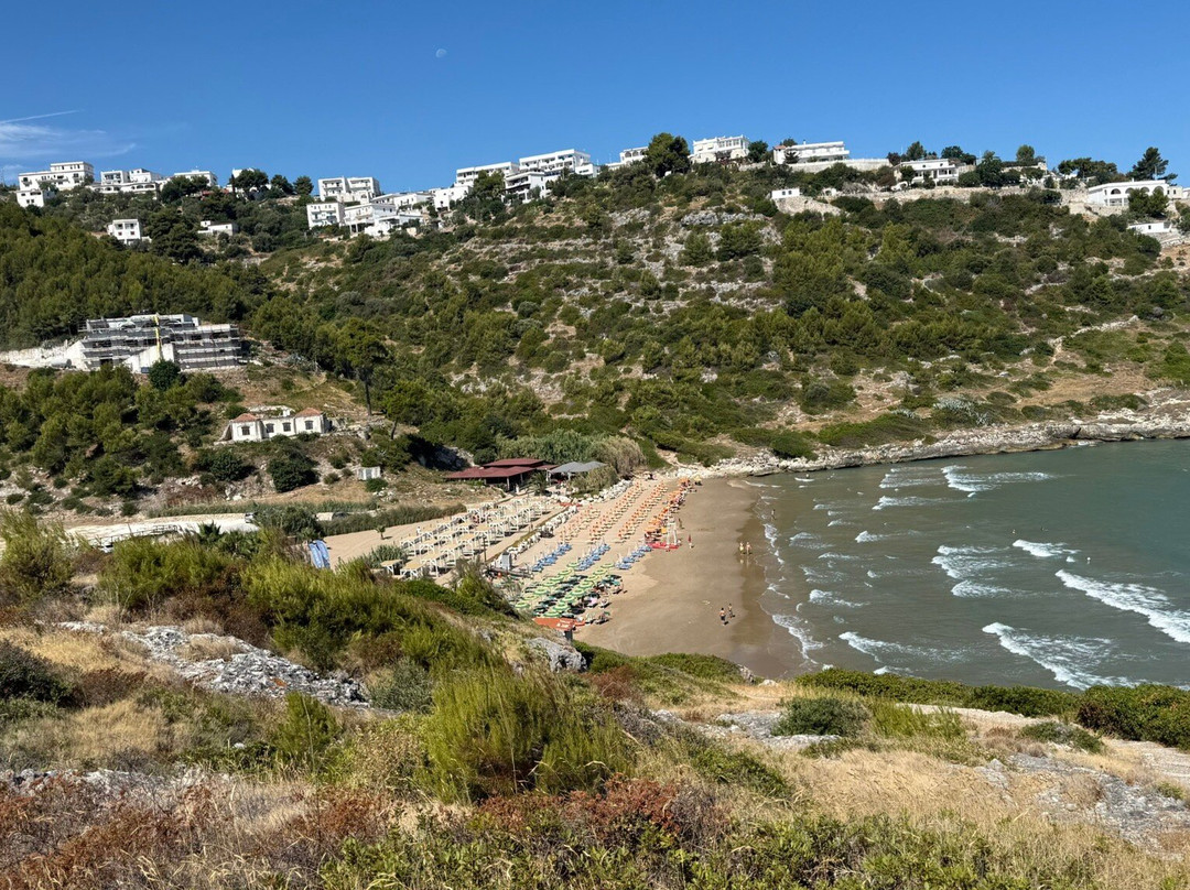 Spiaggia Di Procinisco - Peschici-佩斯基奇必去景点