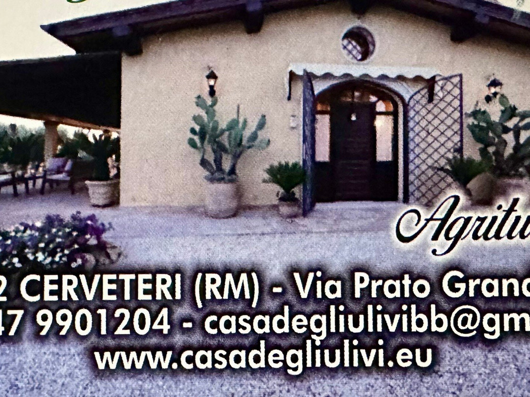 Agriturismo Casa Degli Ulivi主图
