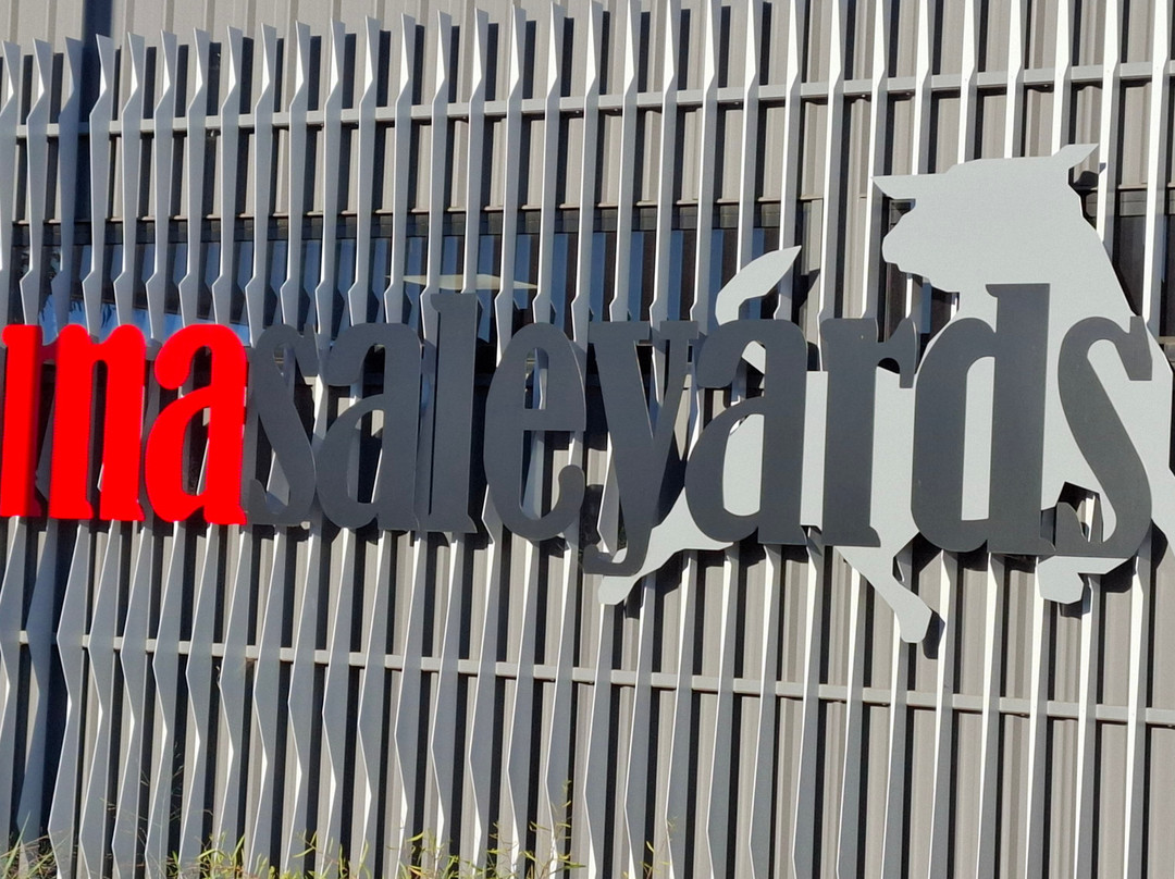 Roma Cattle Saleyards-Roma必去景点