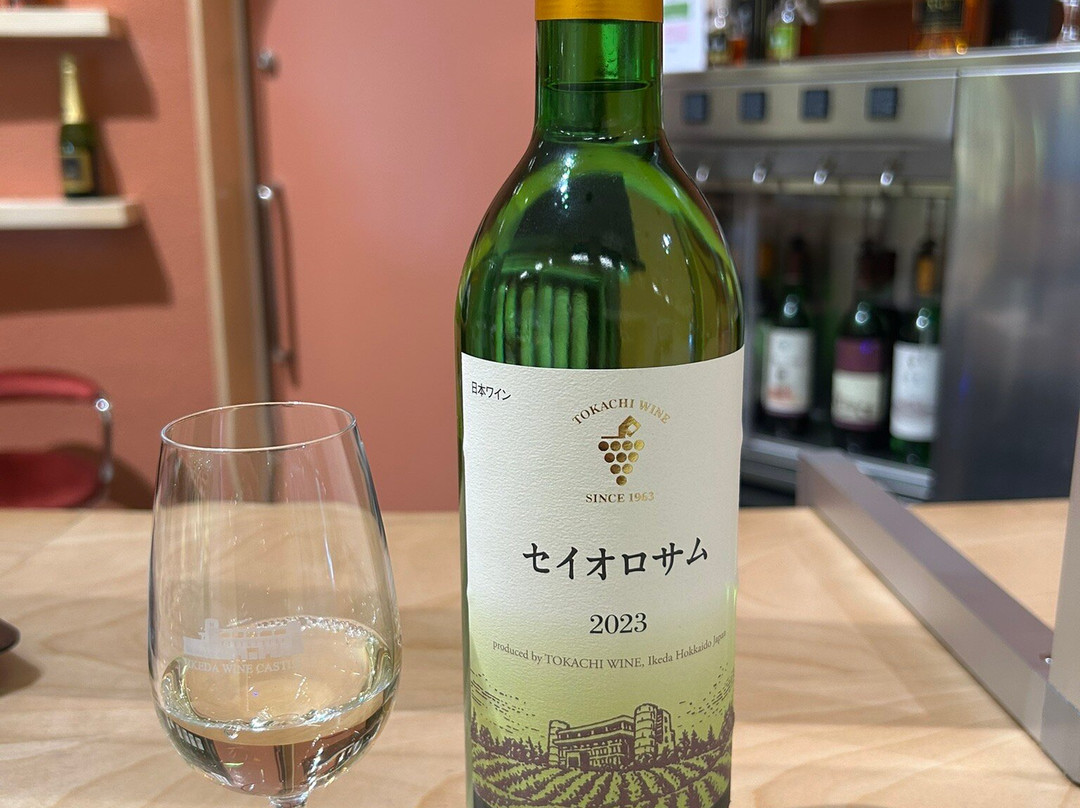 Ikeda Wine Castle-池田町必去景点