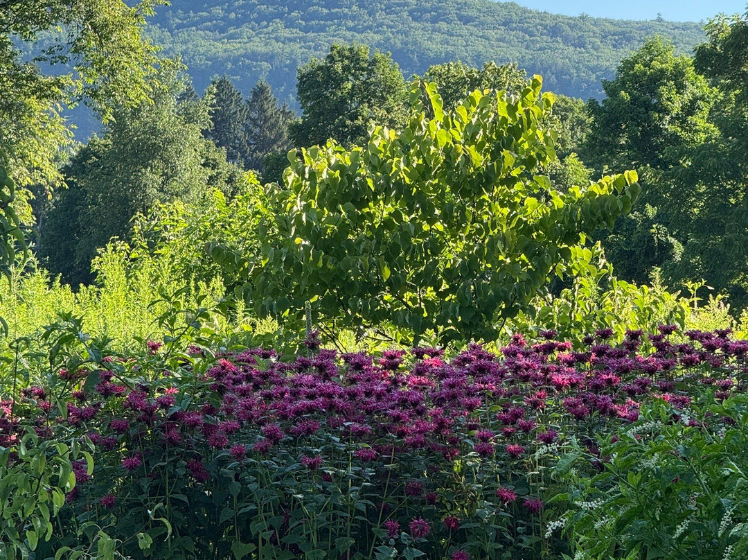 Granville House主图