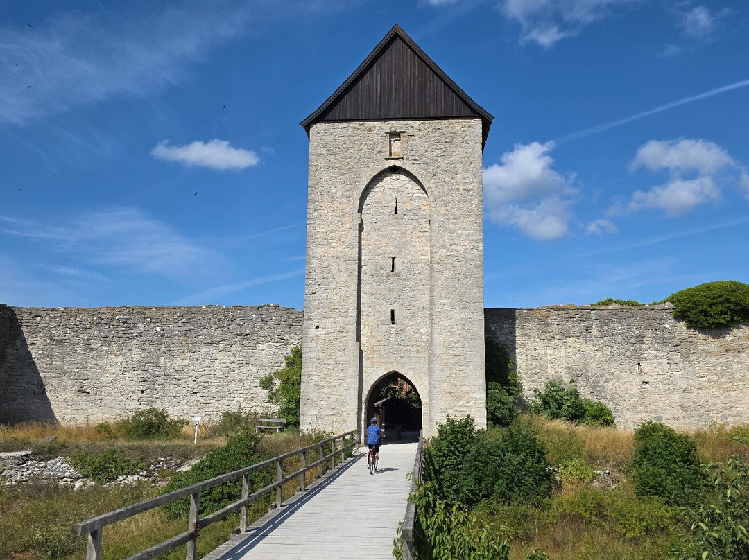 Visby City Wall-维斯比必去景点