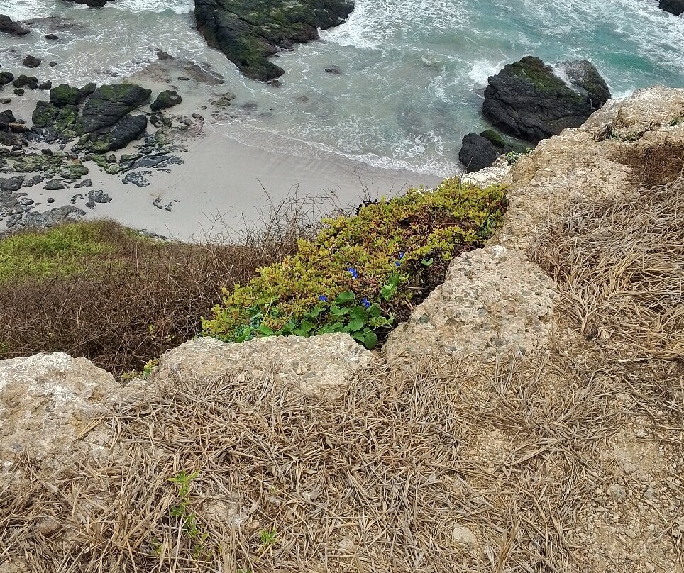 Isla de la Plata-Puerto Lopez必去景点