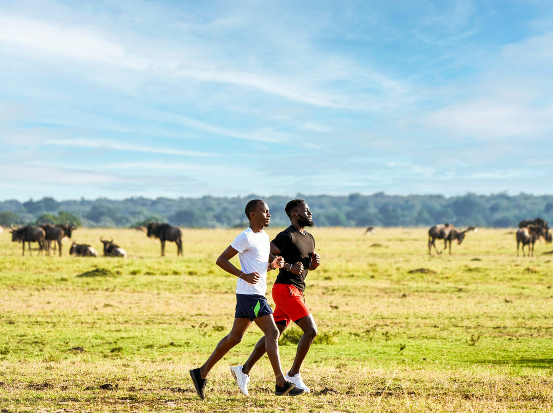 费尔蒙马拉野生动物俱乐部酒店主图