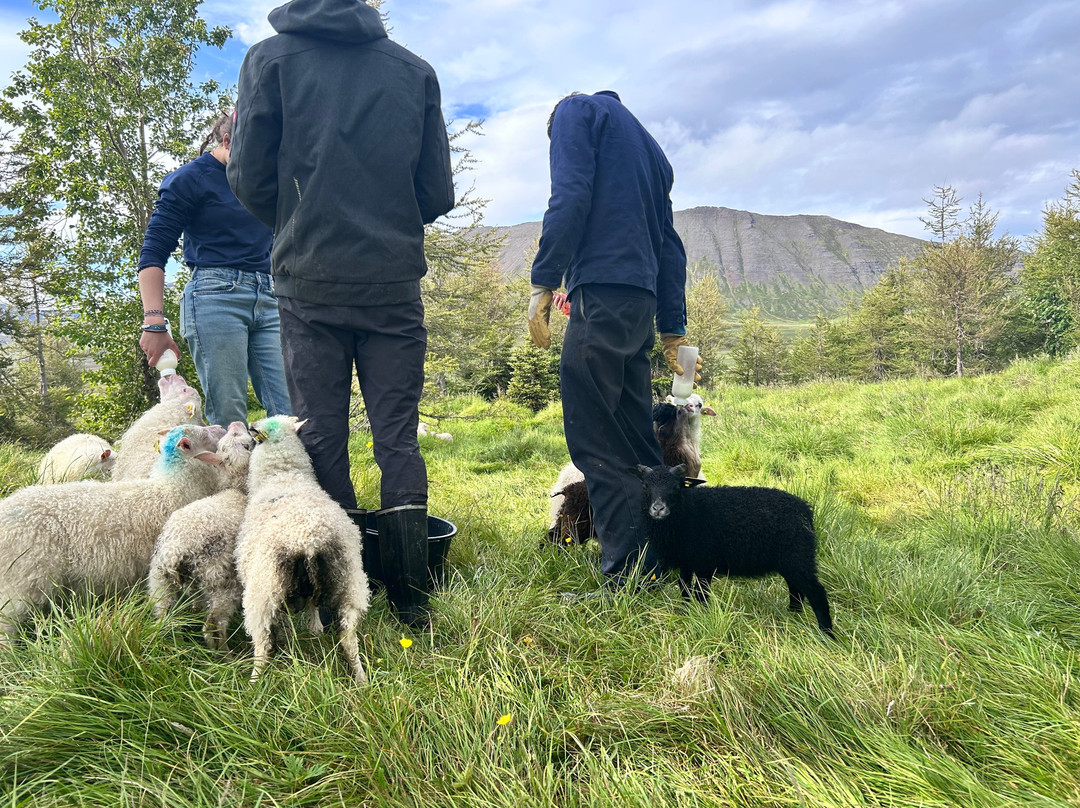 Brúnastaðir Guesthouse And Farm-Skagafjordur必去景点