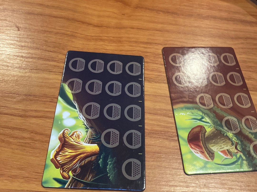 Manticore-Brakel必去景点