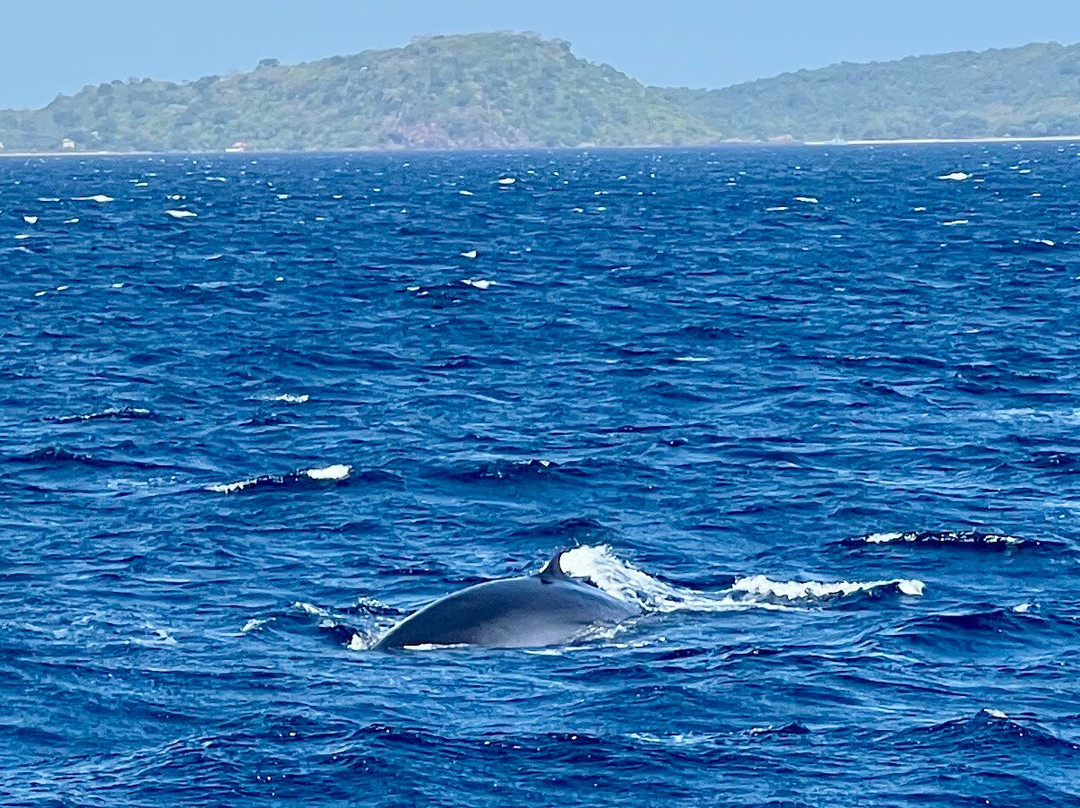 Sail Lanka - Trincomalee-Trincomalee必去景点