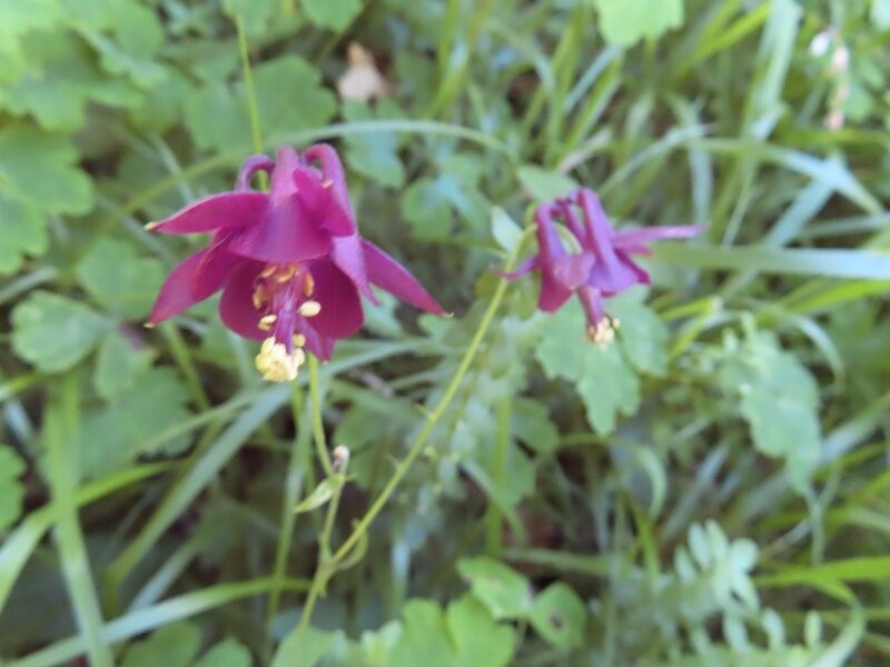 Val Pramper-Val di Zoldo必去景点