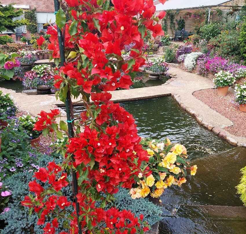 Ampies Berg-'t Harde必去景点