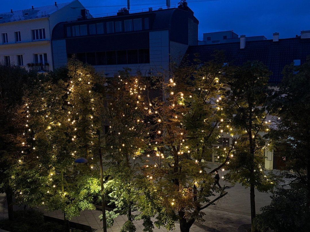 Kaunas Old Town-考那斯必去景点