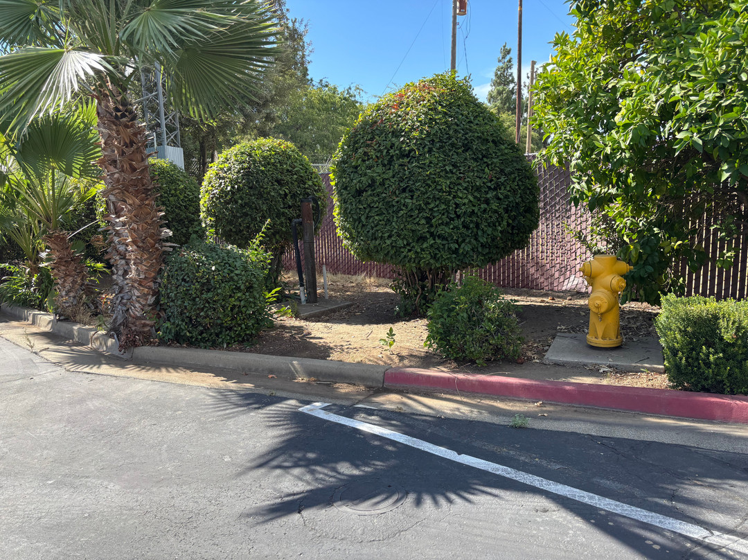 Best Western Yuba City Inn主图