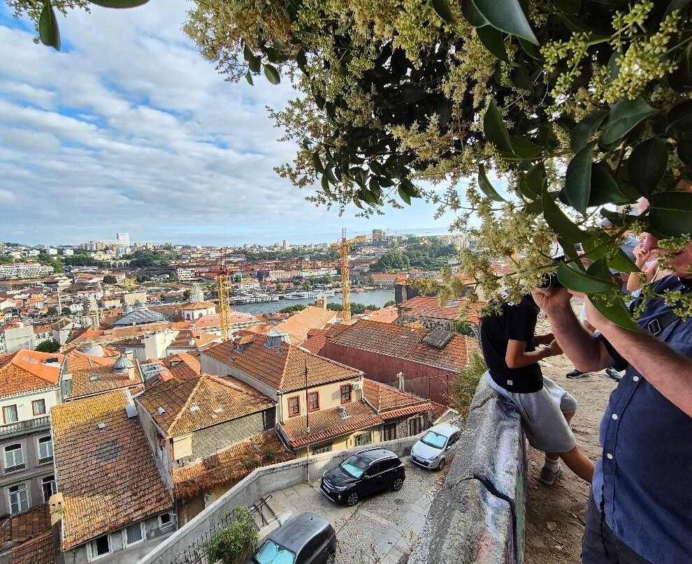 Miradouro da Vitória-波尔图必去景点