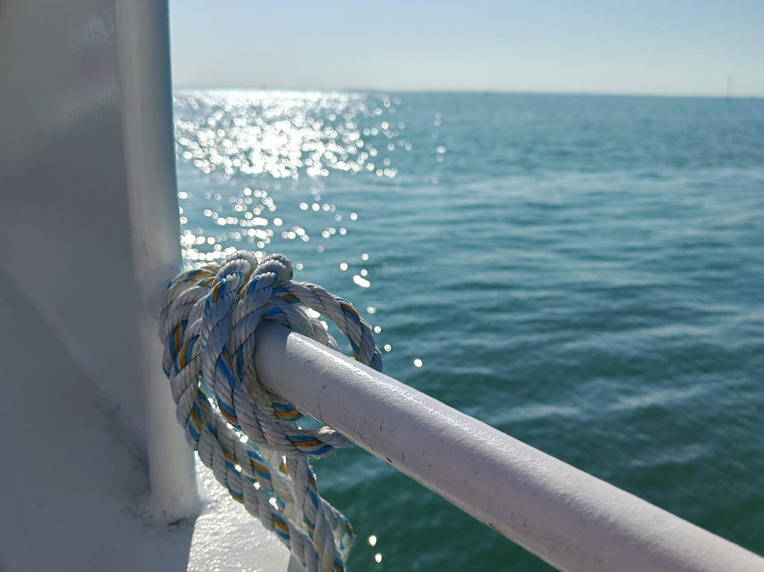 Les Croisières Oléronaises-Boyardville必去景点