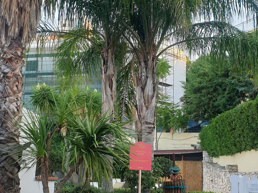 Villa Americana Park Hotel主图