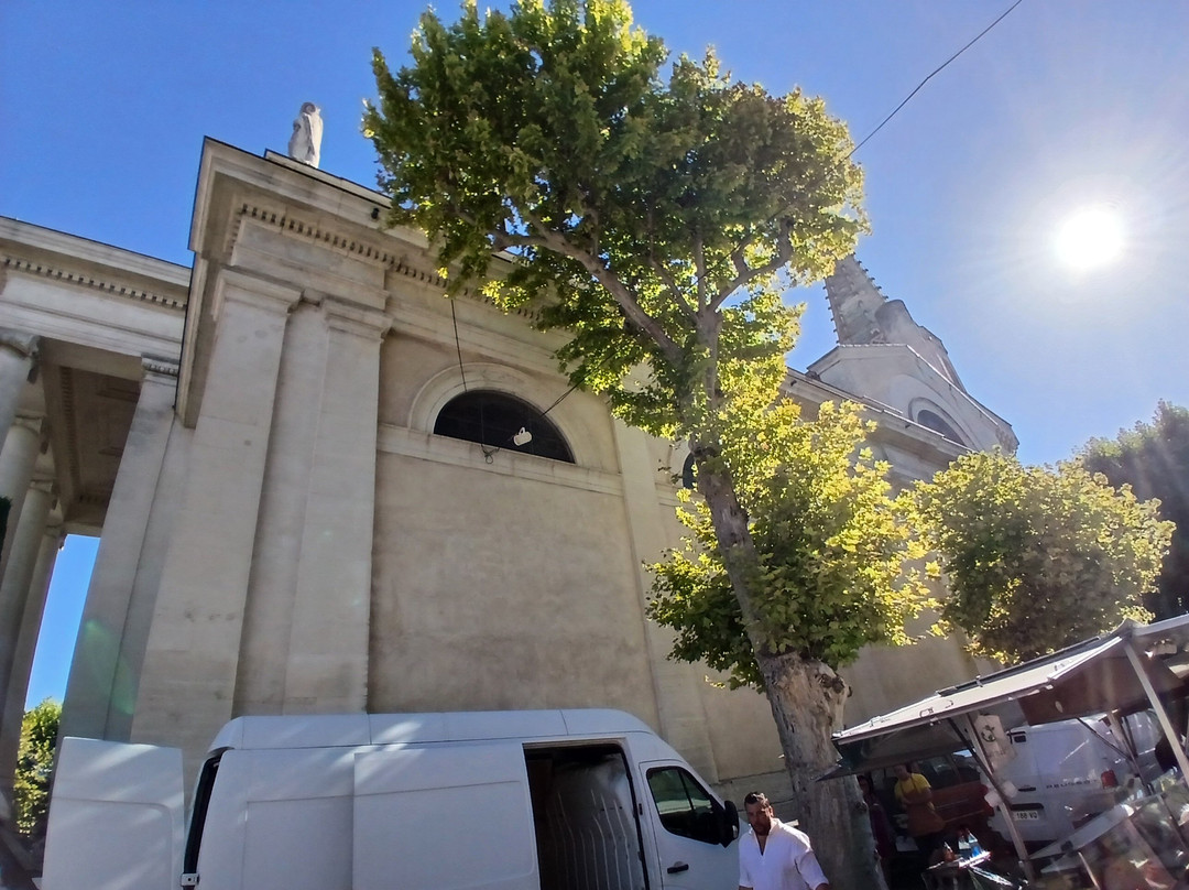 Église Catholique Collégiale Saint-Martin-圣雷米必去景点