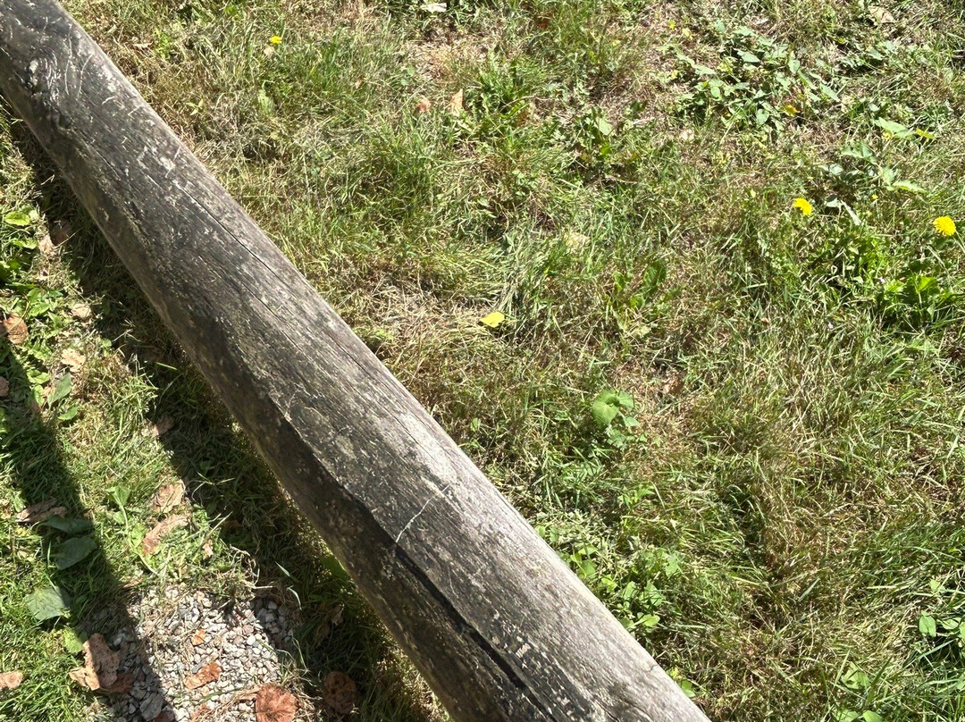 Valley Adventure Centre-圣布雷拉德必去景点