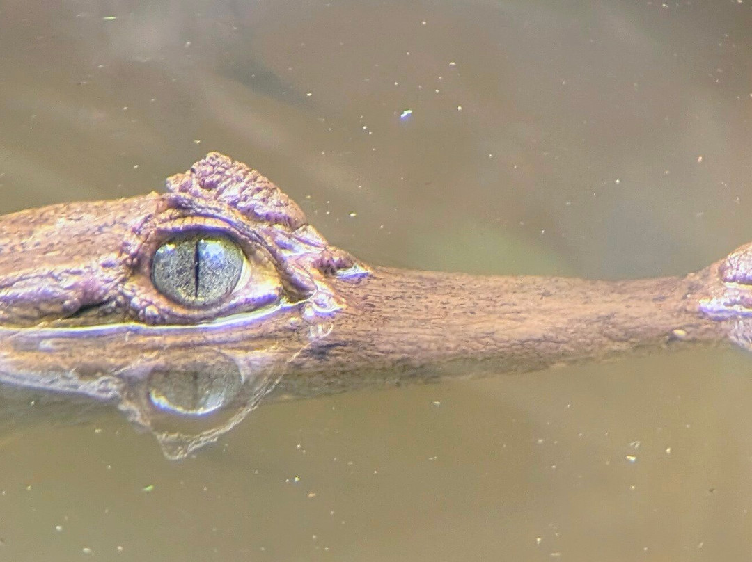 EXPEDICIONES VILCA-Manu必去景点