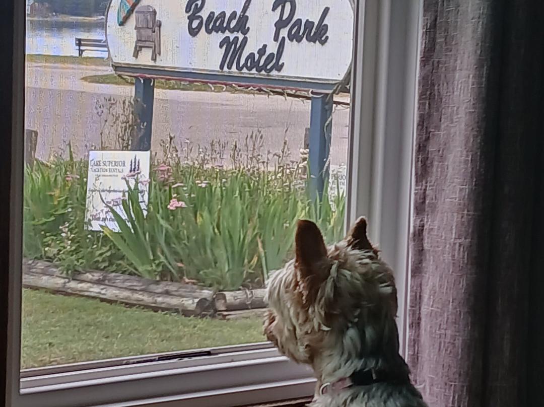 Beach Park Motel主图