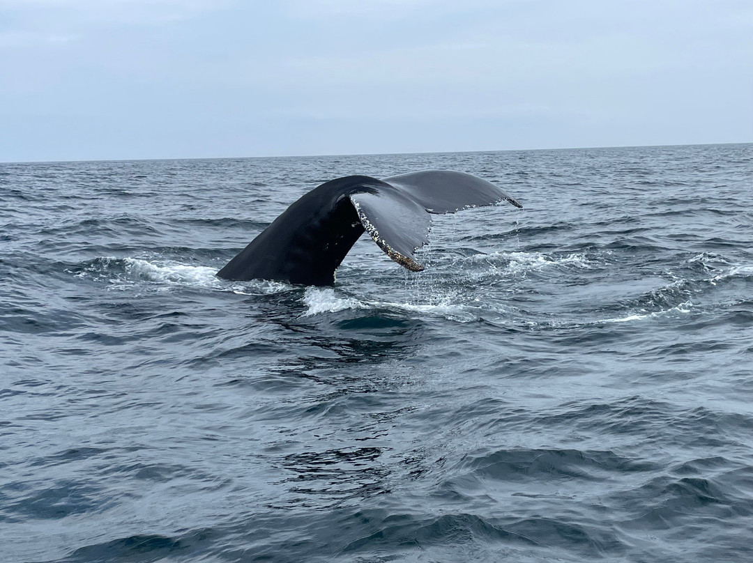 Trinity Eco-Tours-Trinity必去景点