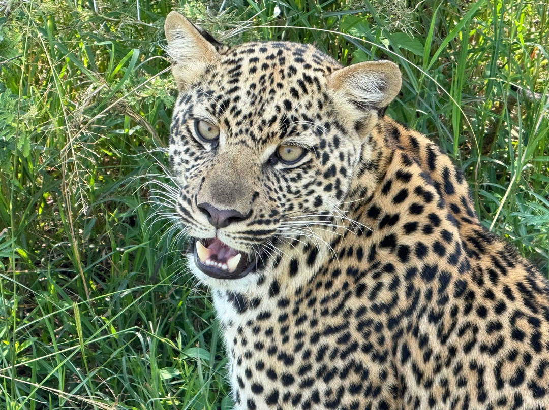 Mukisa Safaris-坎帕拉必去景点