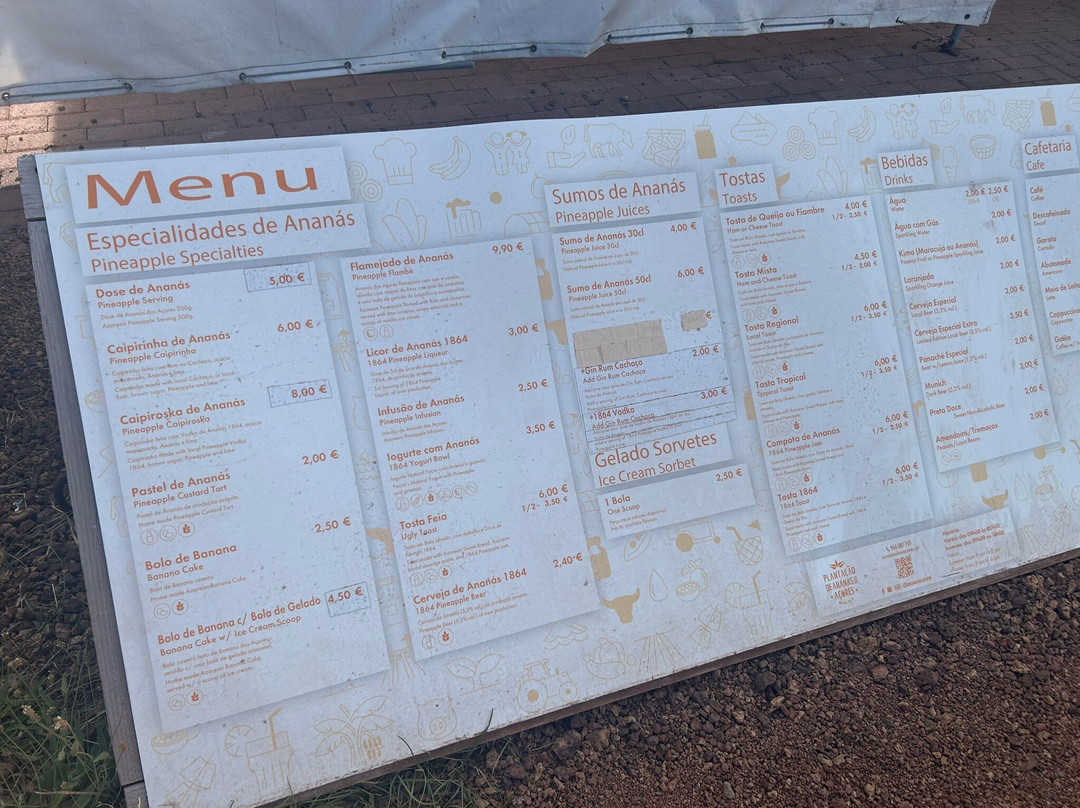 Plantação de Ananás dos Açores-蓬塔德尔加达必去景点