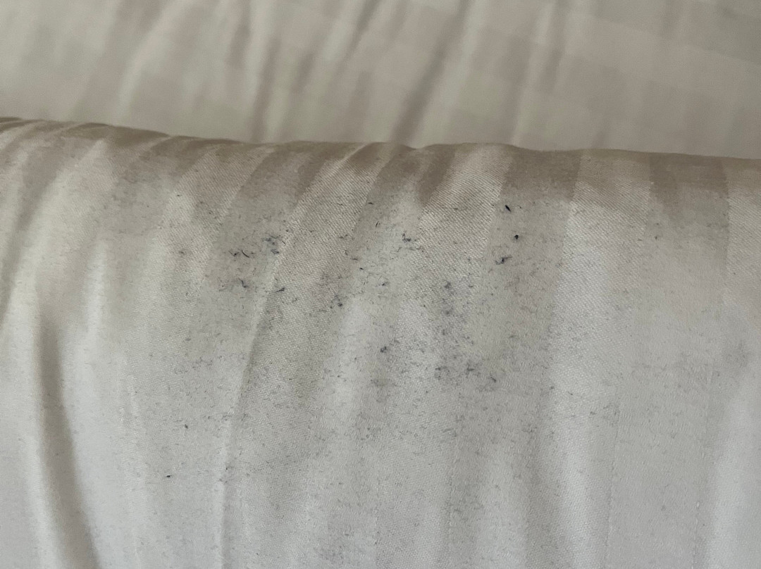 Pier Head Hotel Spa & Leisure Centre-Mullaghmore必去景点