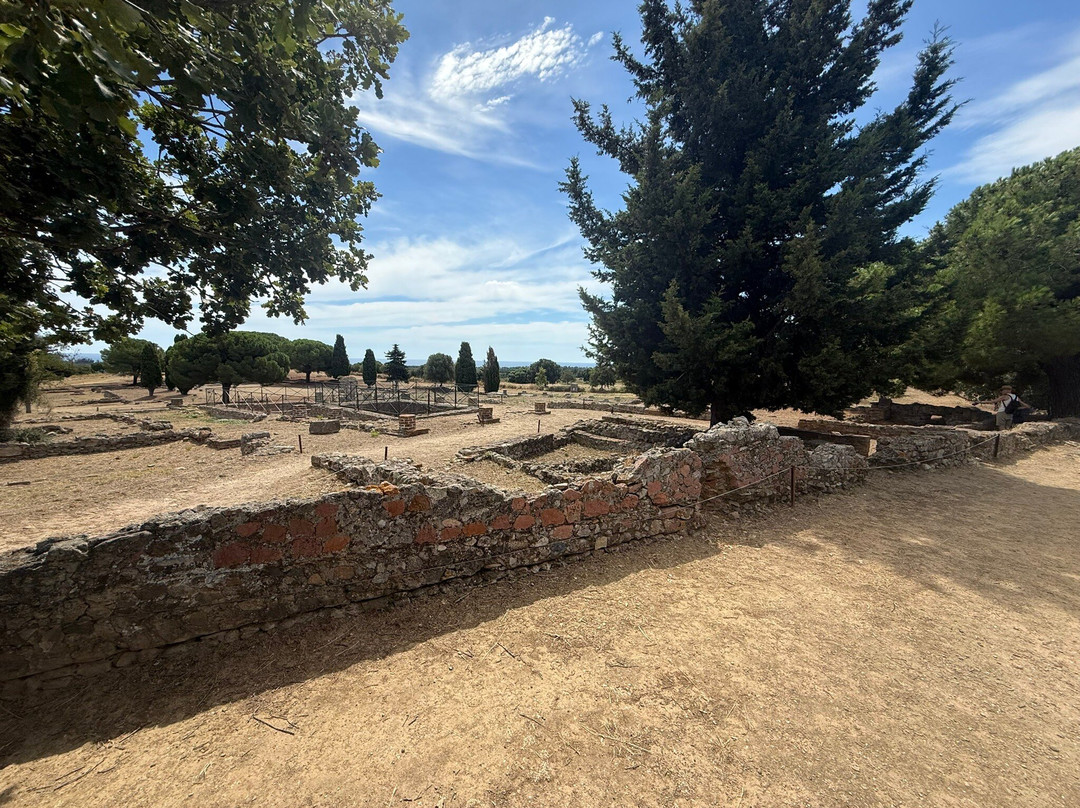 Musée Archéologique d'Aléria-Aleria必去景点