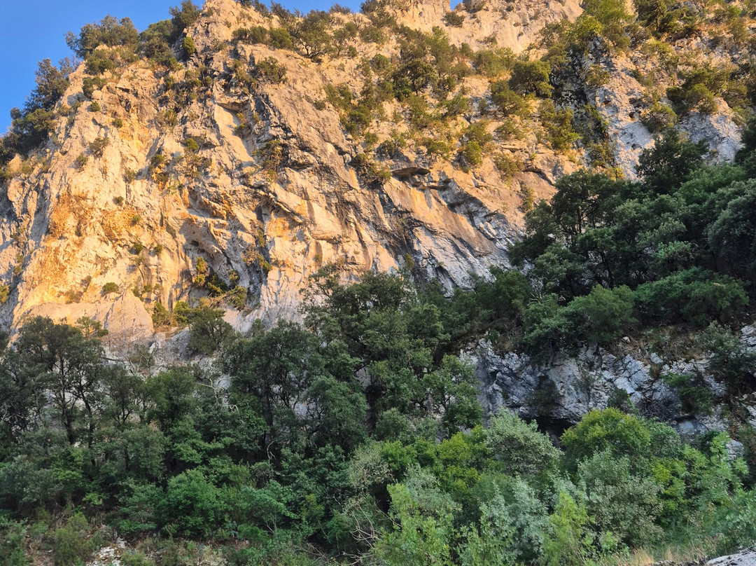 Moniteur Canoë Ardèche Familles Enfants-Labastide-de-Virac必去景点