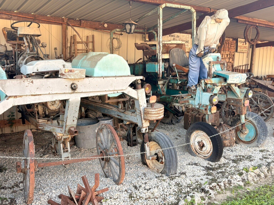 Oenocentre Ampelopsis-Massingy必去景点