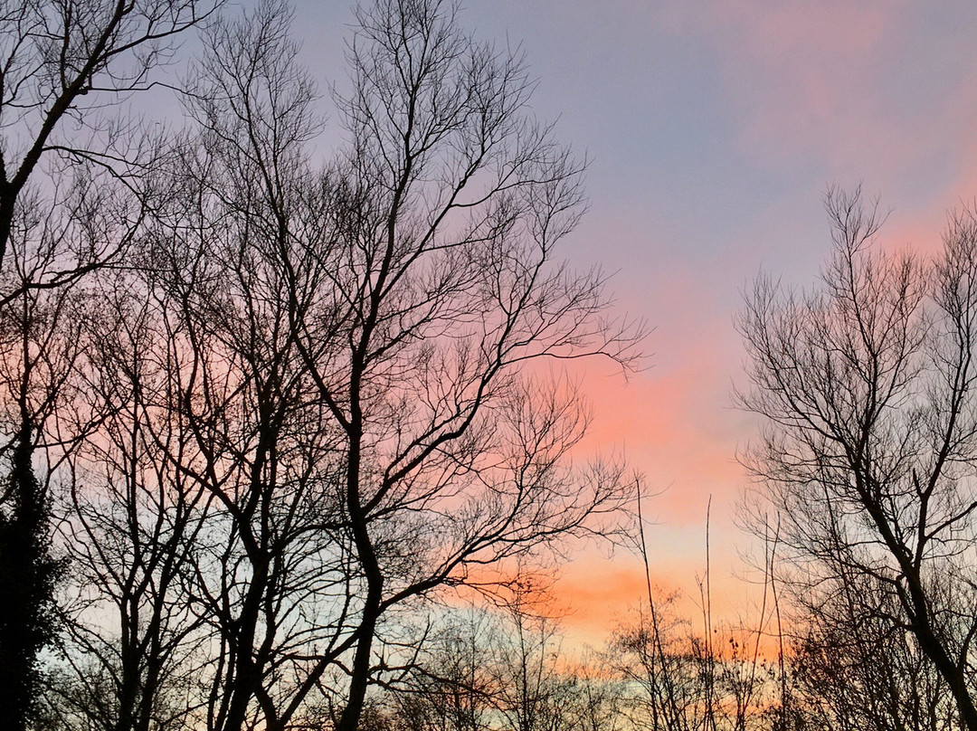 Orrell Water Park-Orrell必去景点