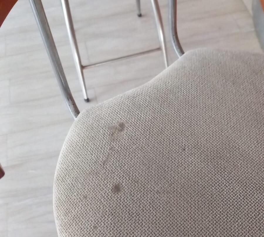 Florida Blue Bay主图