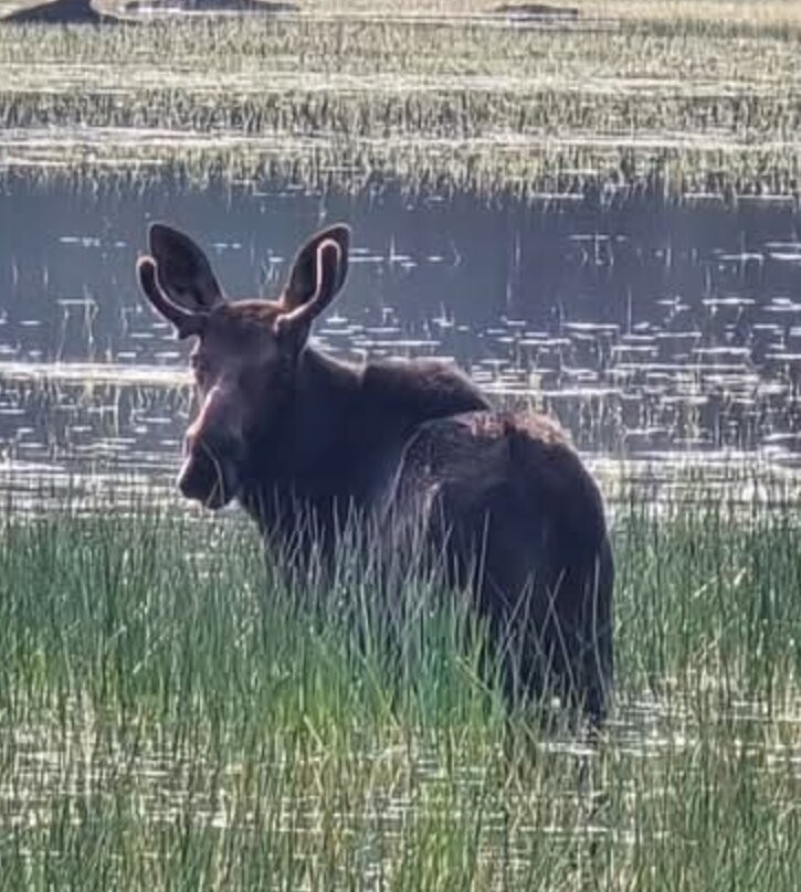 Northeast Whitewater-Shirley Mills必去景点
